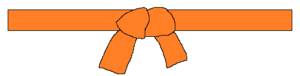 Orange-Gurt